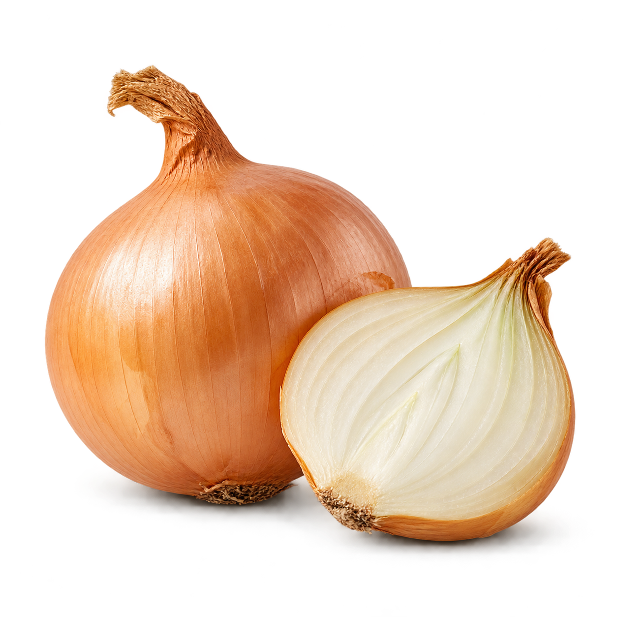 Onion