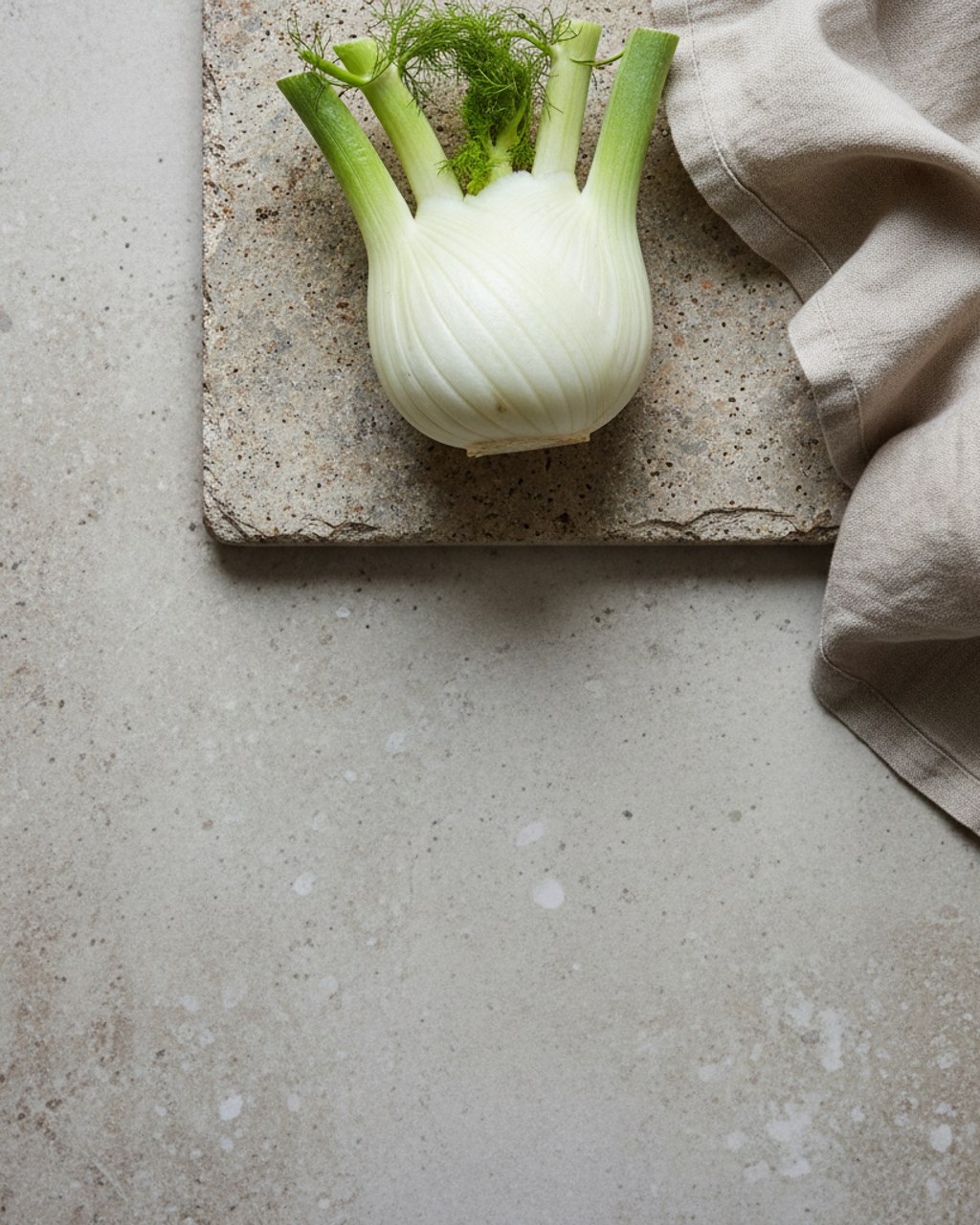 A fresh fennel bulb with trimmed fronds on warm cream stone