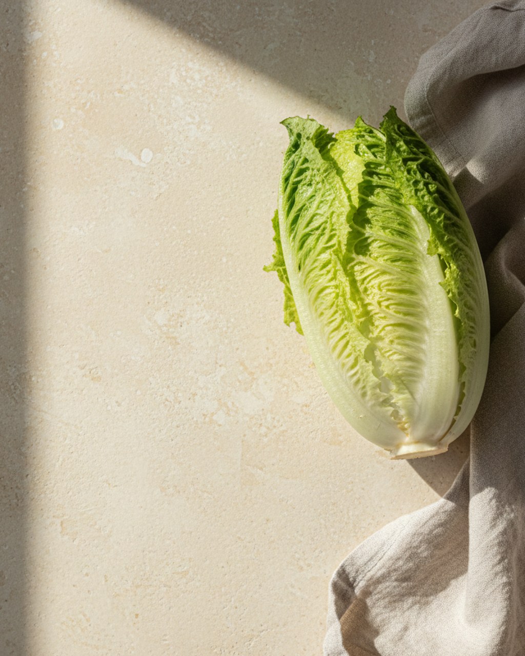 A fresh crisp romaine lettuce heart on warm cream linen