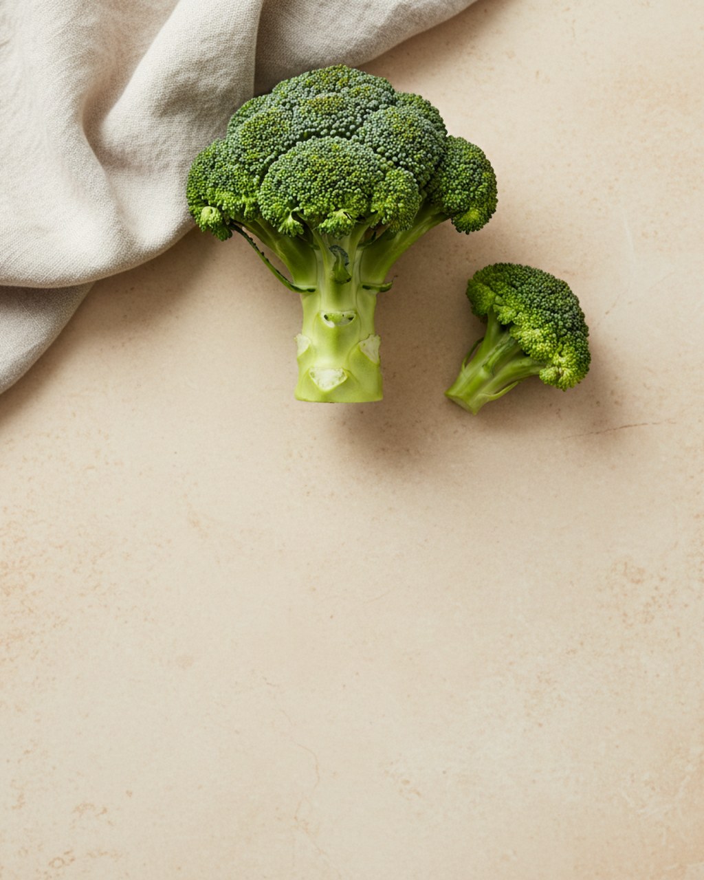 A fresh broccoli head with a single floret beside it
