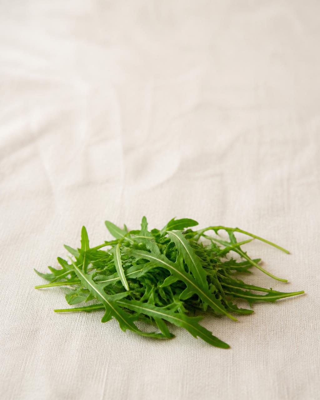 A small gathered handful of fresh arugula leaves