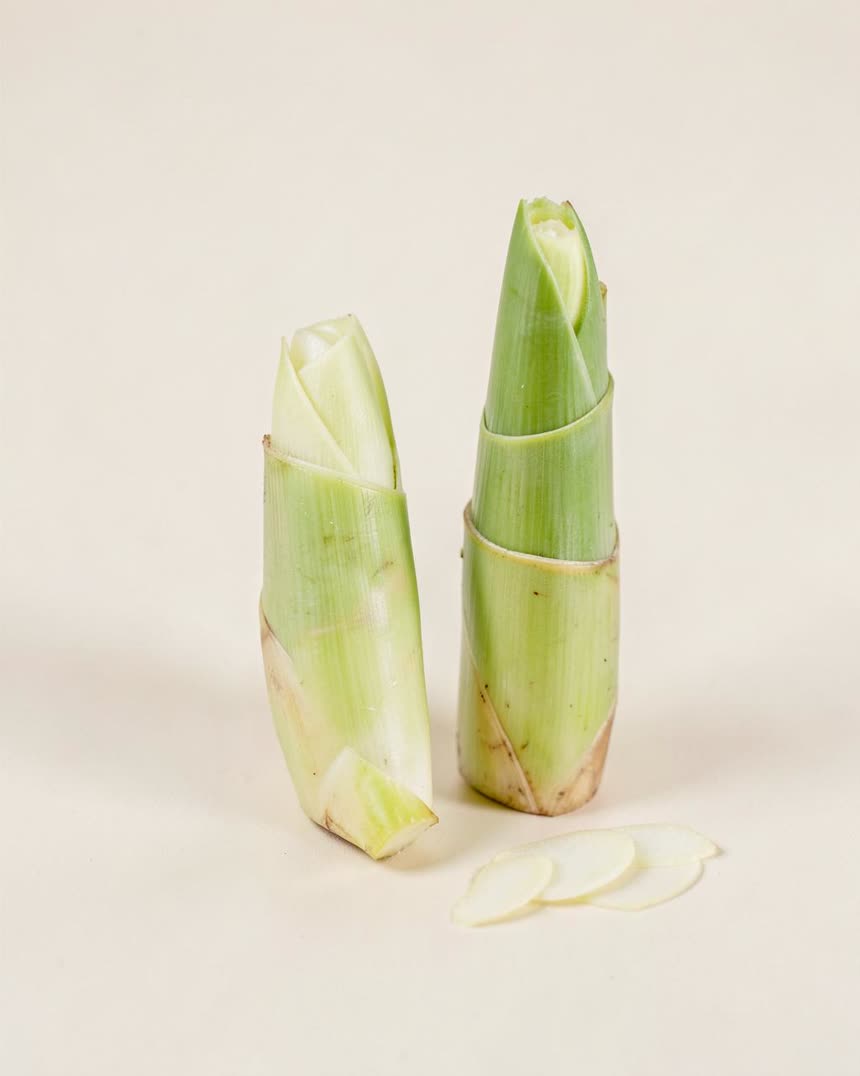 Bamboo shoots on a light neutral background