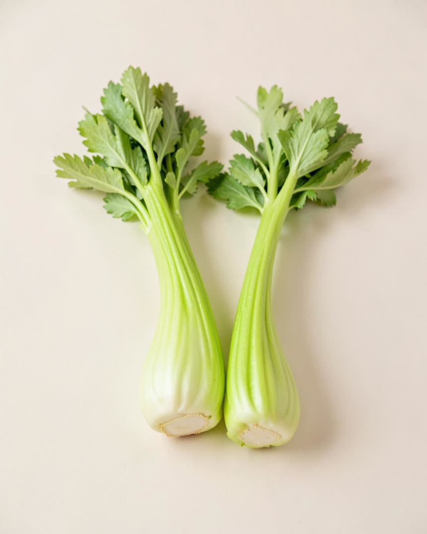 Celery stalk on a light neutral background