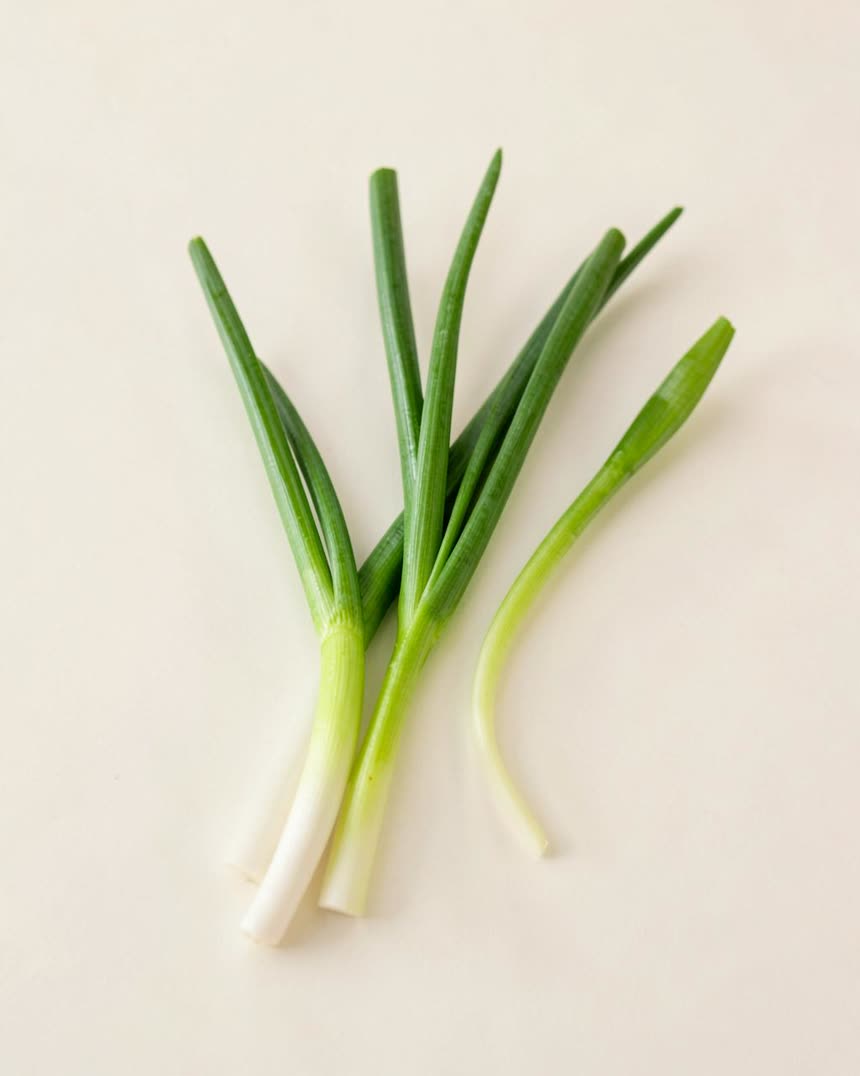 Spring onion, green tops on a light neutral background